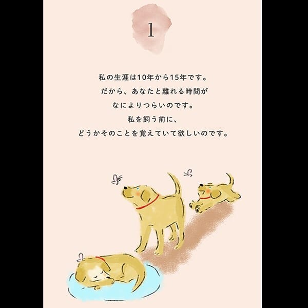 Post 9 by セツサ チアキ/ illustrator on Instagram (carousel)