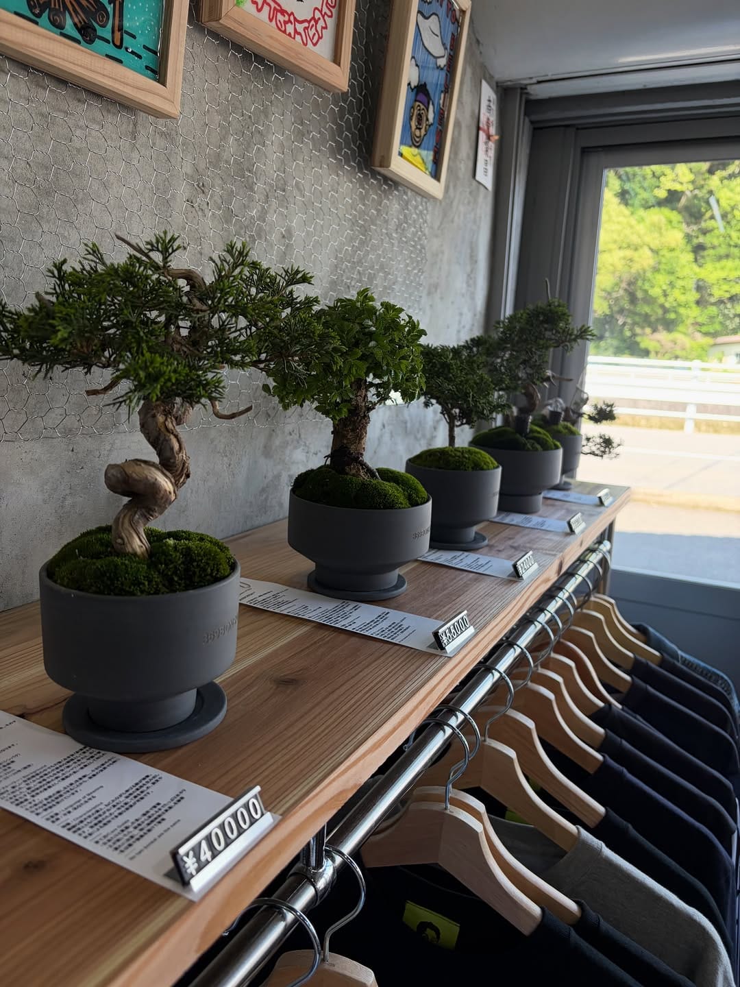 Post 10 by 369BONSAI™︎ on Instagram (image)