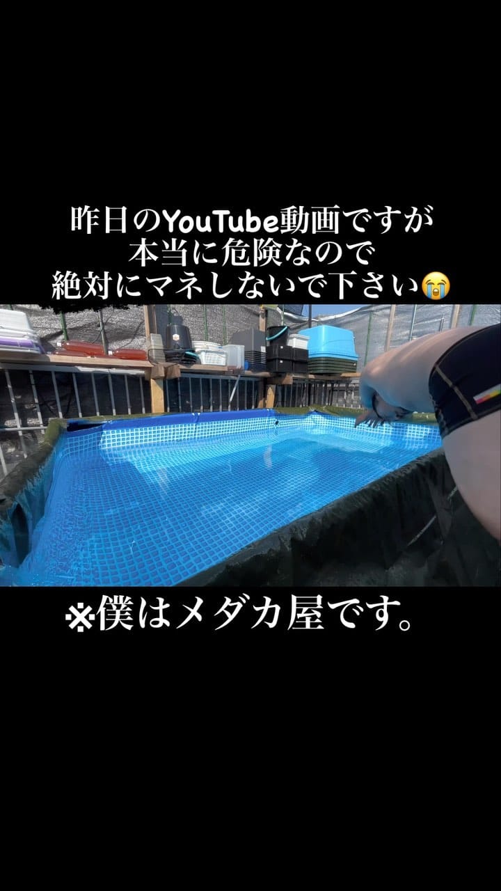 Post 9 by メダカ屋　宮坊 on Instagram (video)