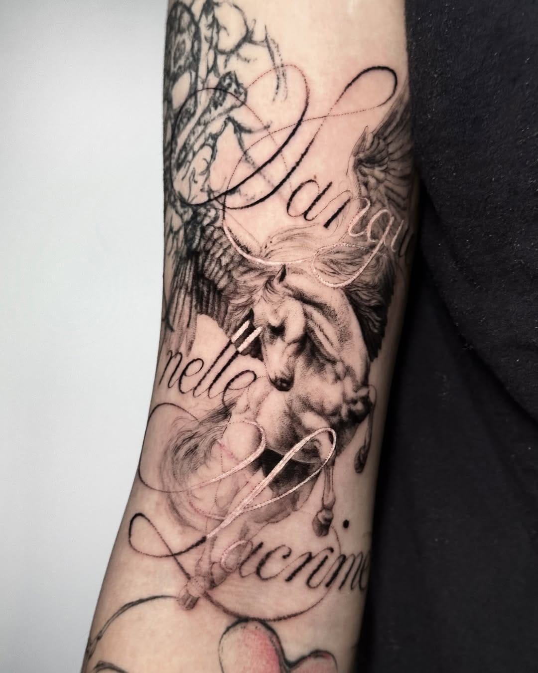 Post 4 by ALE✶✶ANDRO 🌐 on Instagram (carousel)