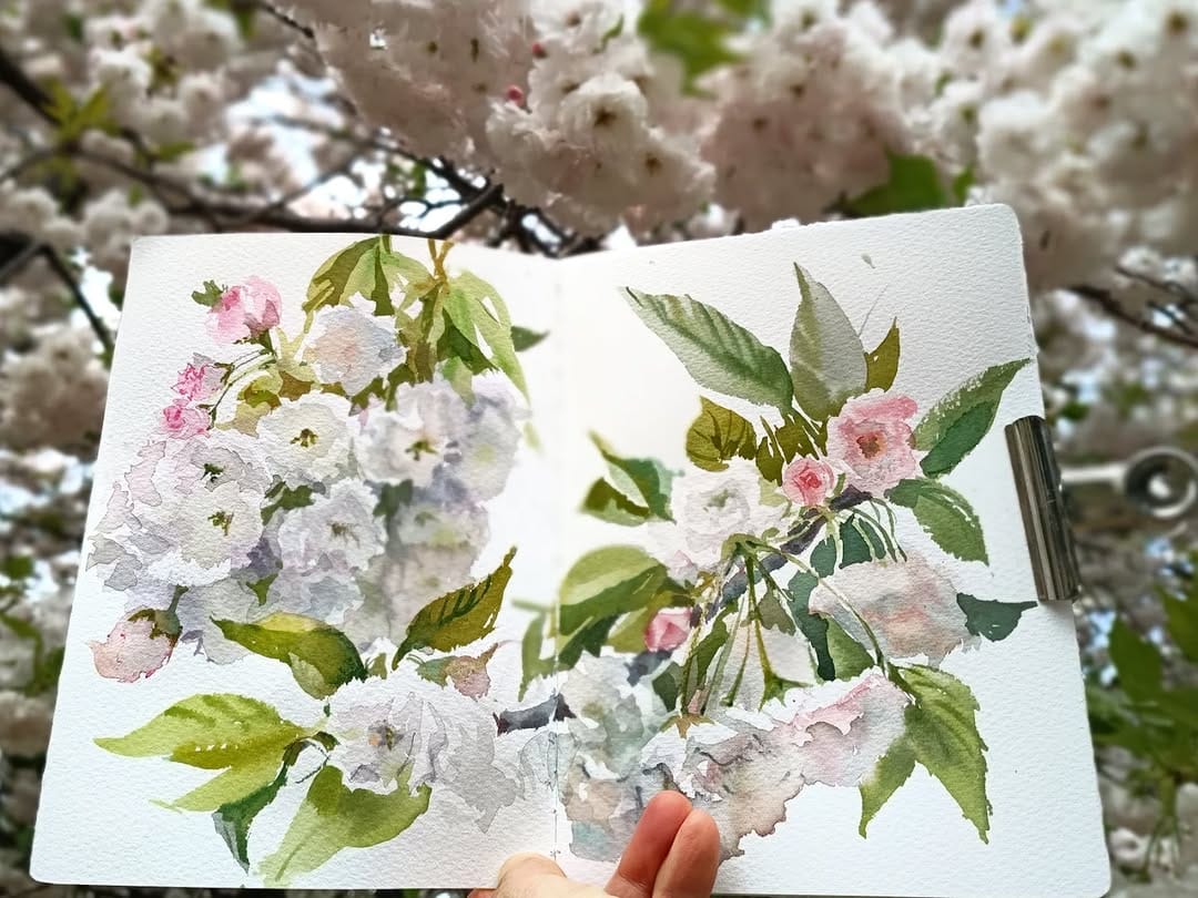 Post 8 by watercolors in Japan 🇯🇵 on Instagram (carousel)