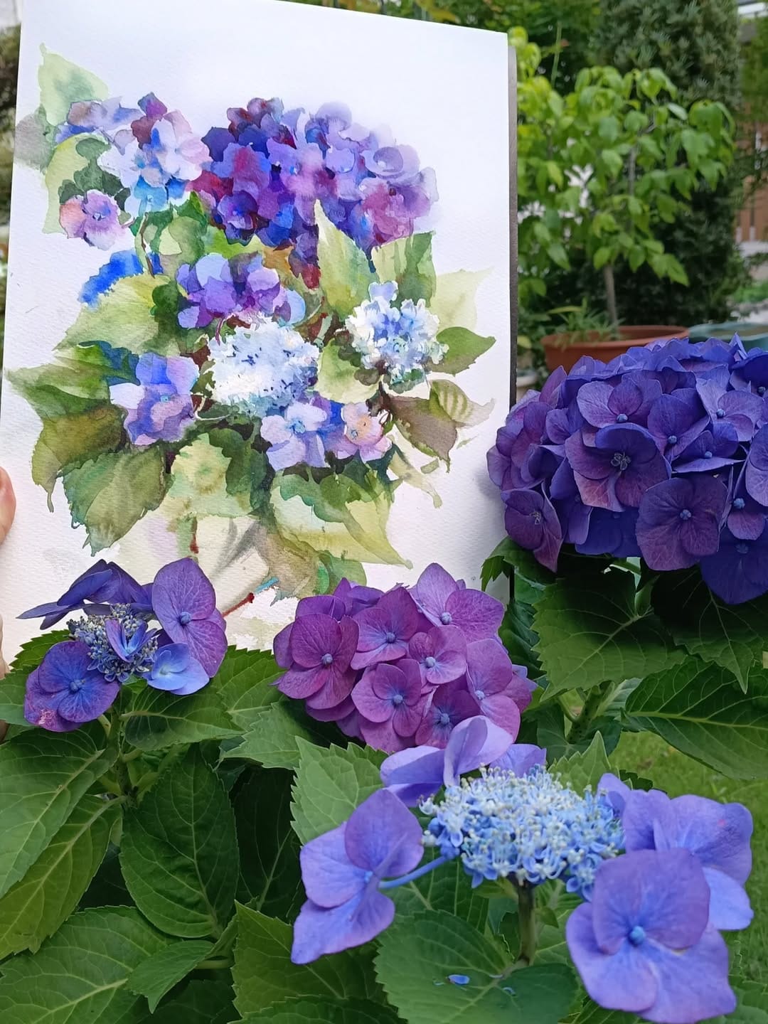 Post 2 by watercolors in Japan 🇯🇵 on Instagram (carousel)