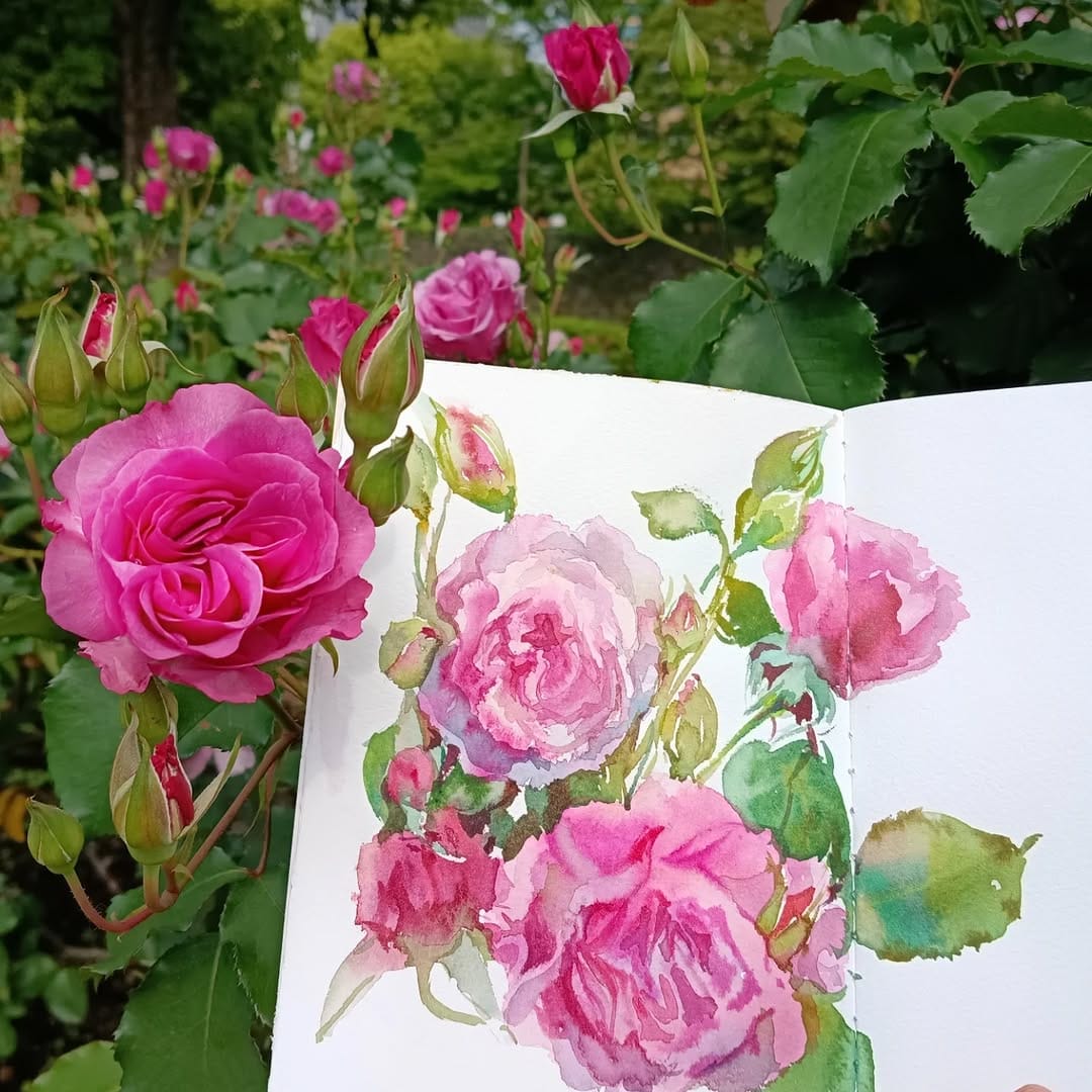 Post 6 by watercolors in Japan 🇯🇵 on Instagram (carousel)