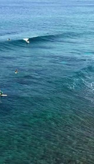 Post 1 by Mitsunori Harada on Instagram (video)