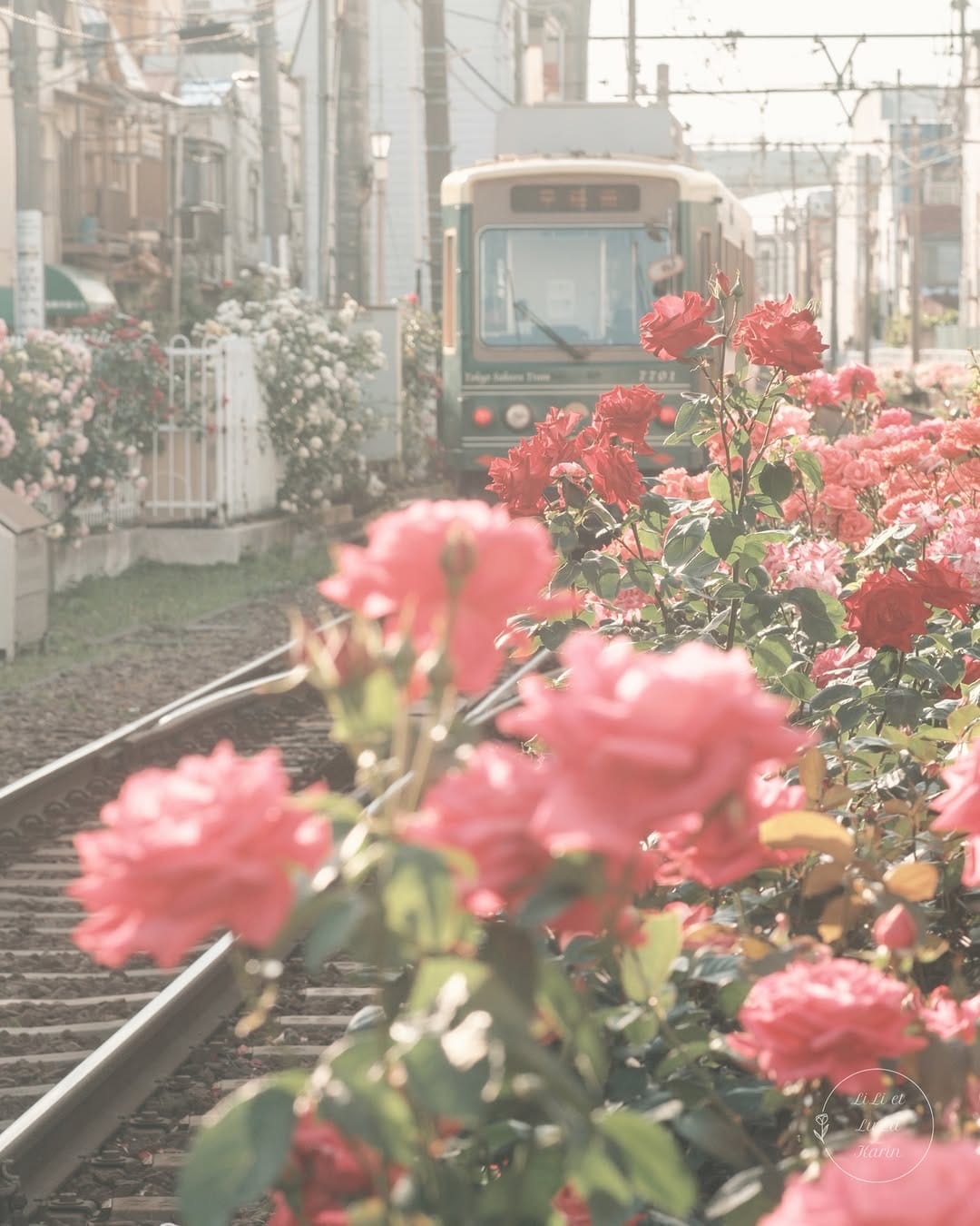 Post 10 by K a r i n  /   辻 村  夏 凛 on Instagram (carousel)