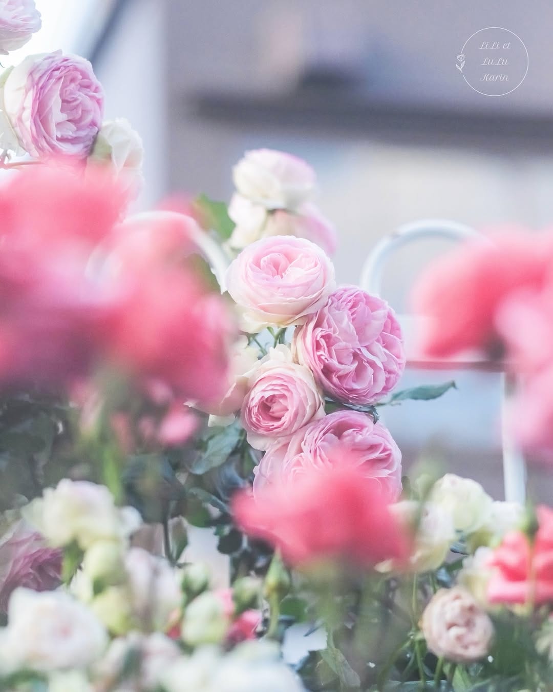 Post 9 by K a r i n  /   辻 村  夏 凛 on Instagram (carousel)