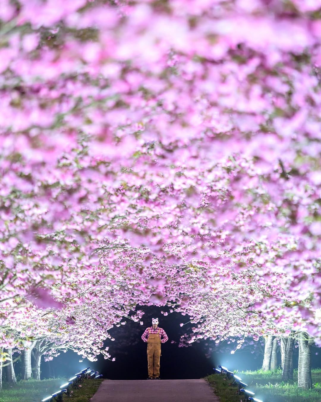 Post 10 by ミスターＥ加減 on Instagram (image)