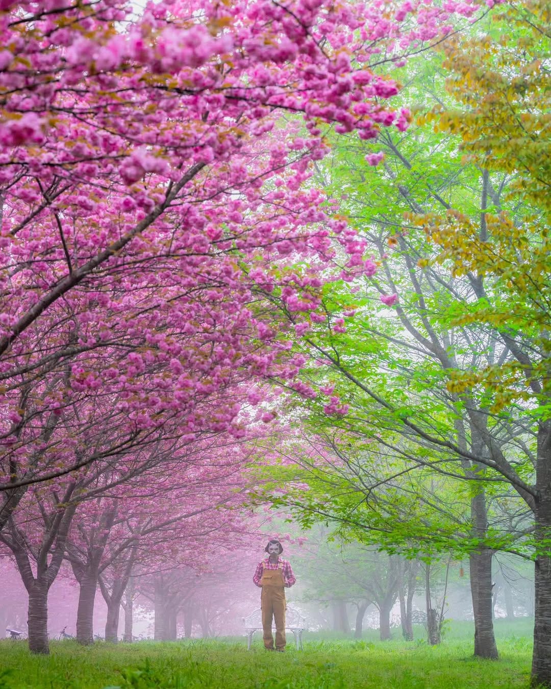 Post 8 by ミスターＥ加減 on Instagram (image)
