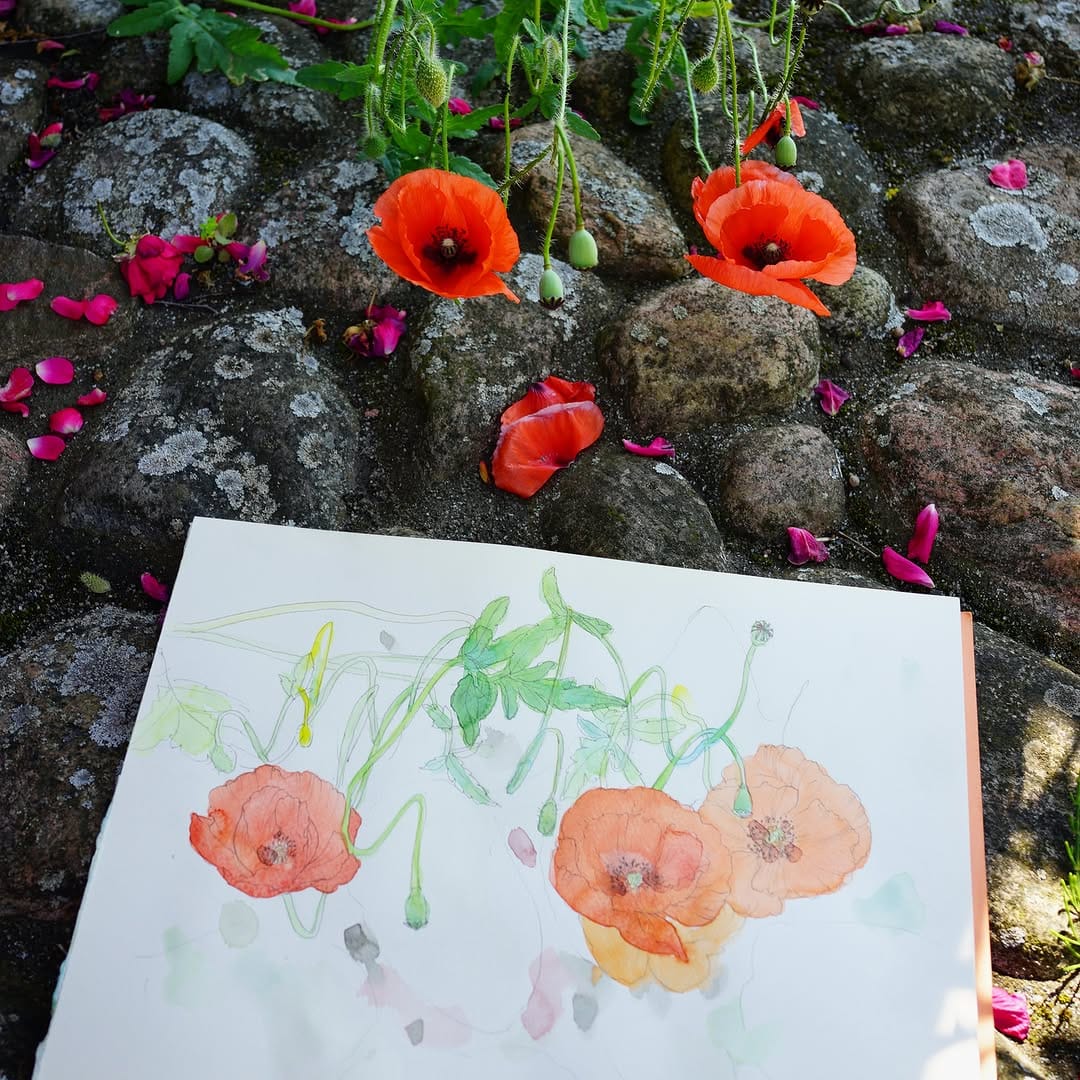 Post 1 by 武田裕子/Hiroko Takeda on Instagram (image)