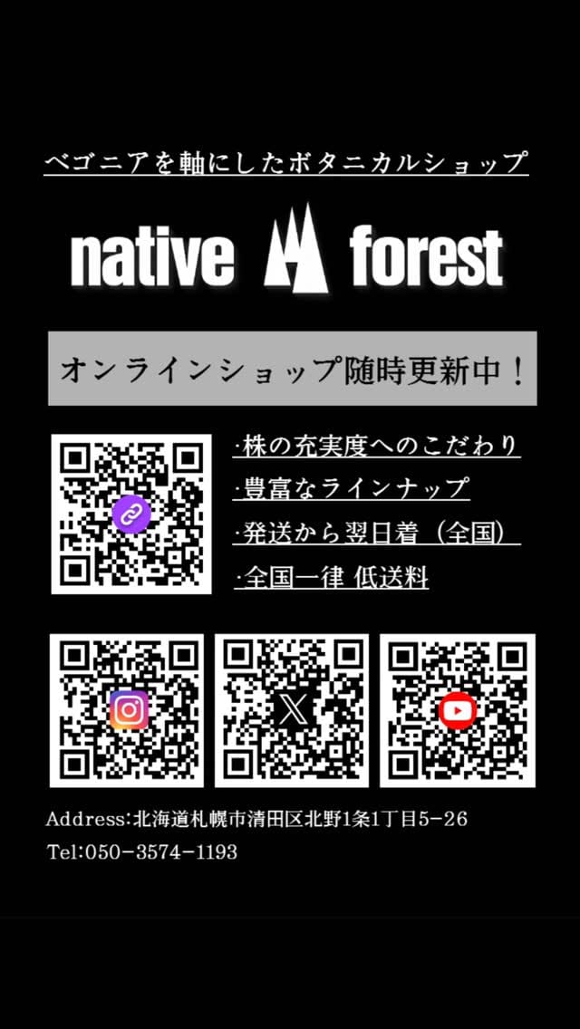 Post 10 by native forest -JAPAN🇯🇵- on Instagram (video)