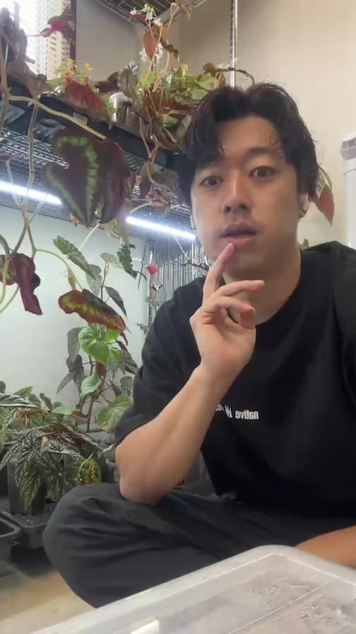 Post 4 by native forest -JAPAN🇯🇵- on Instagram (video)