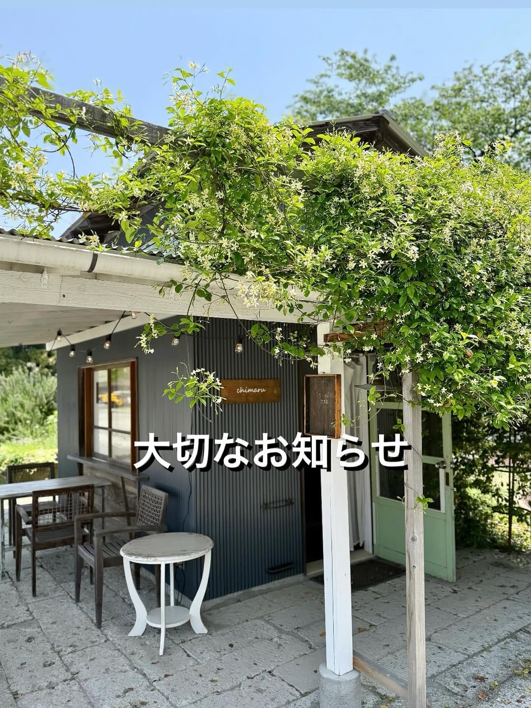 Post 10 by chimaru on Instagram (image)