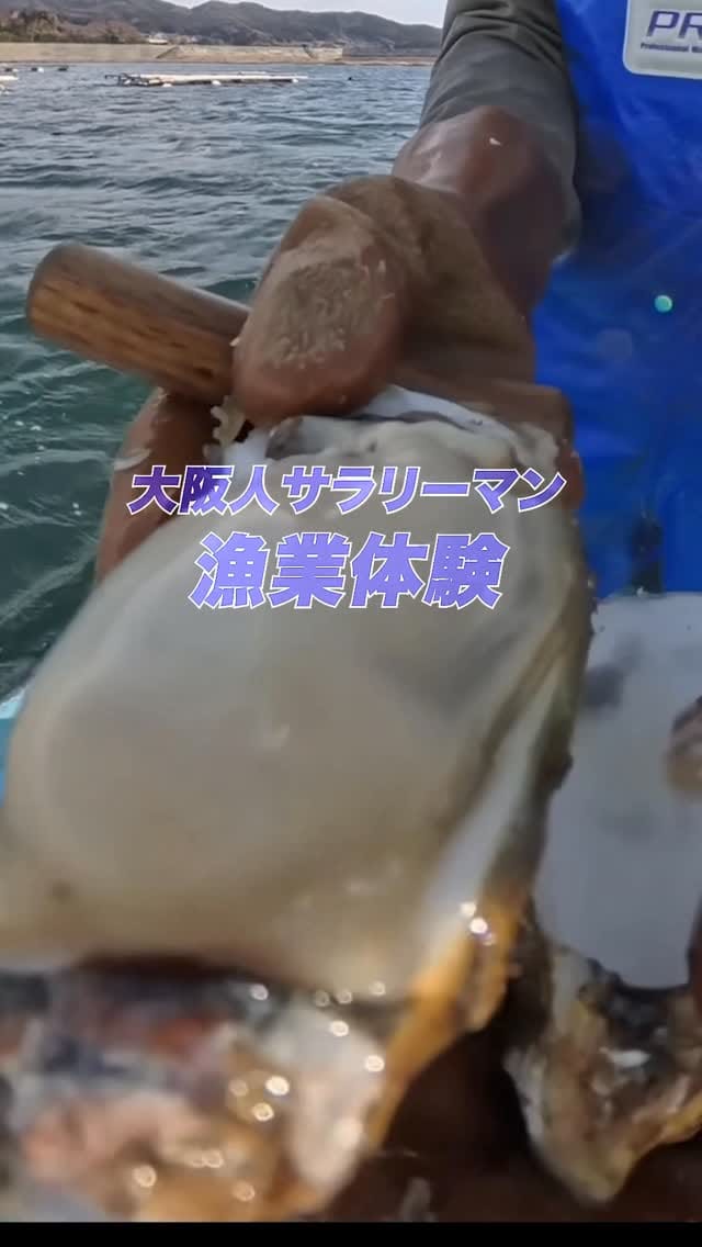 Post 3 by カキ大将｜岩手のカキ漁師（株式会社大将水産） on Instagram (video)