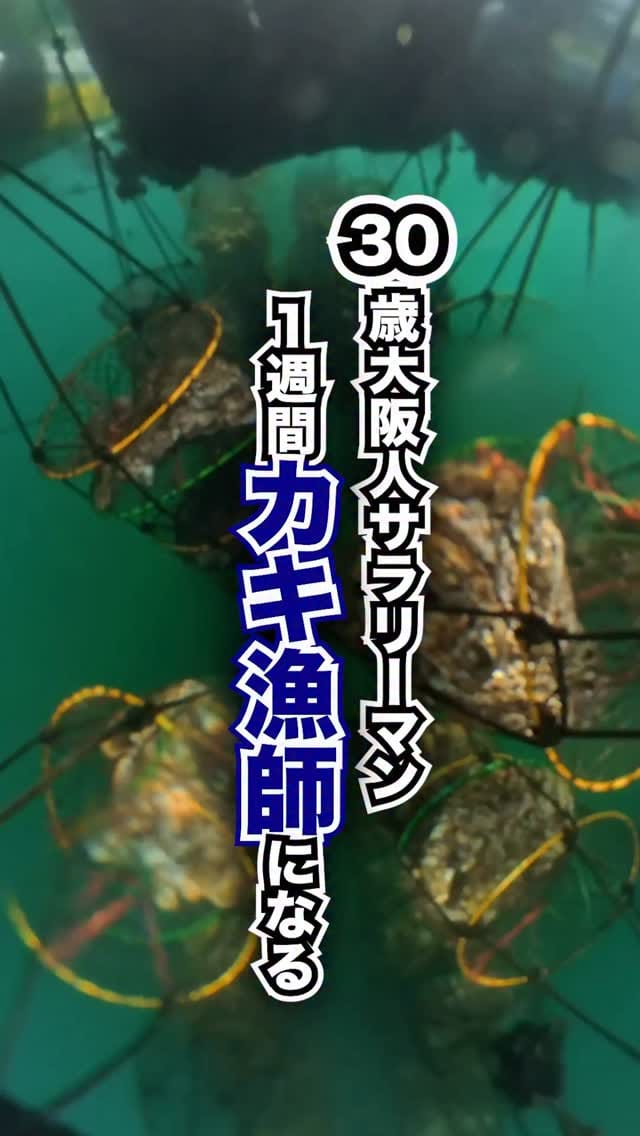 Post 7 by カキ大将｜岩手のカキ漁師（株式会社大将水産） on Instagram (video)