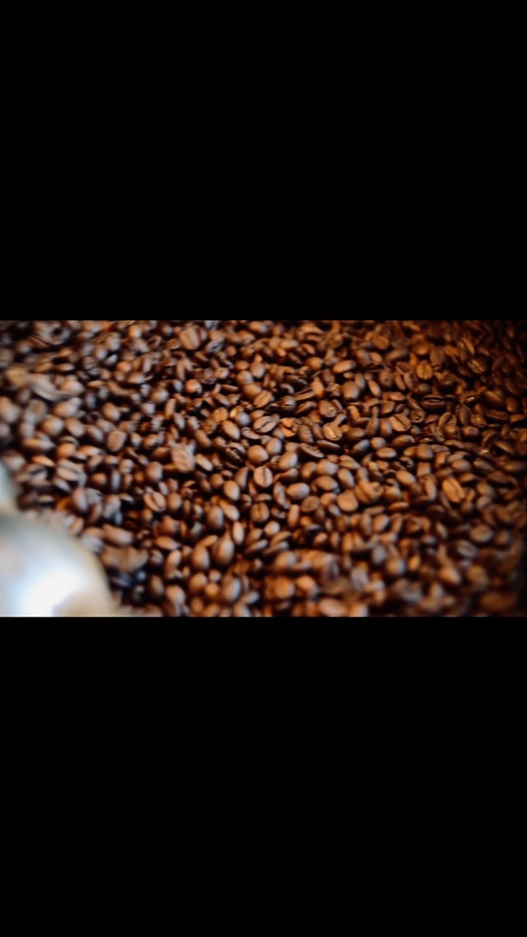 Post 7 by trombonecoffee on Instagram (video)