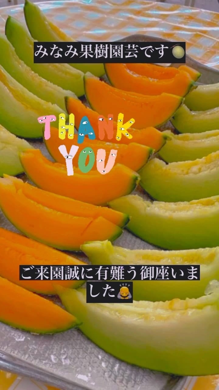 Post 7 by みなみ果樹園芸メロン on Instagram (video)