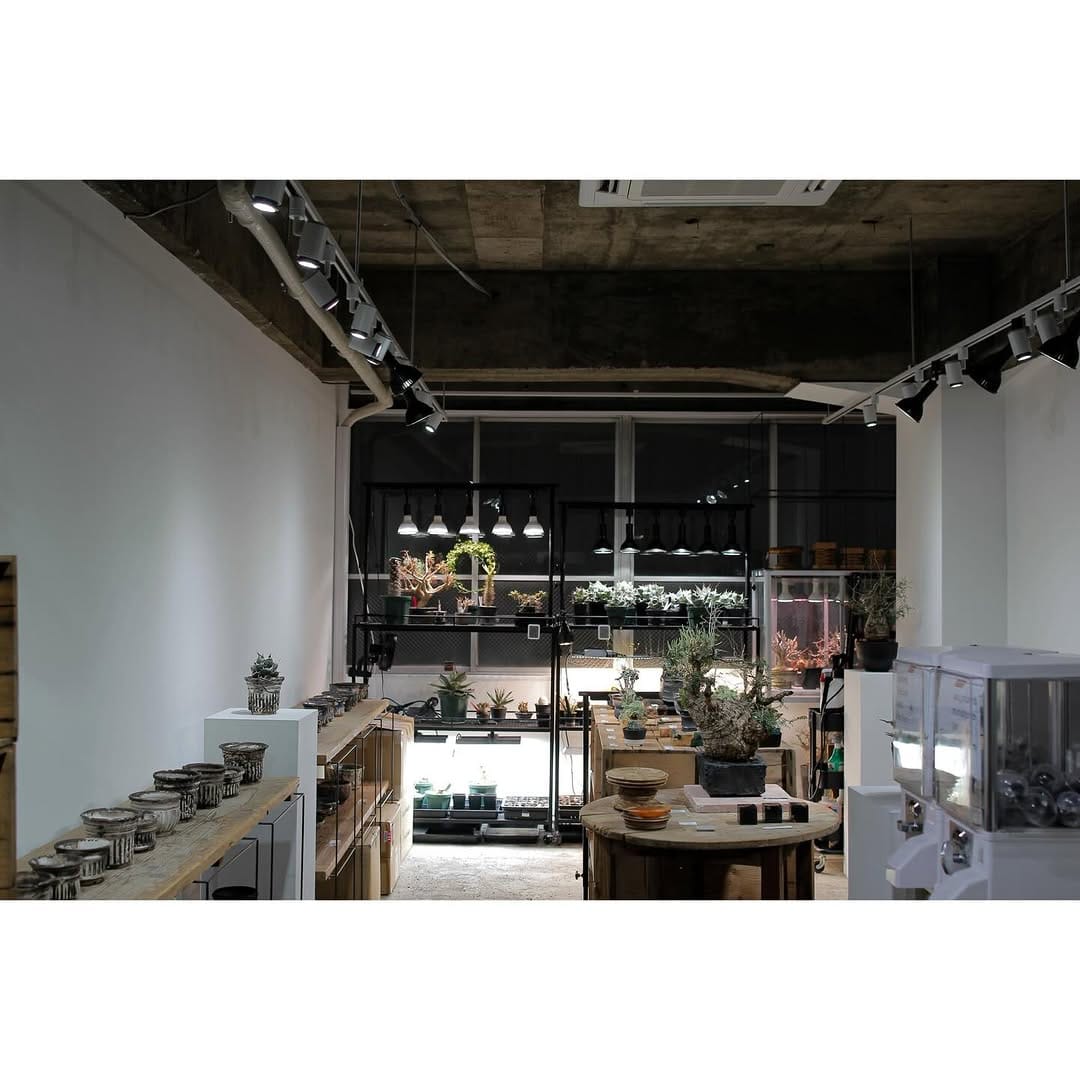 Post 7 by sou. on Instagram (image)