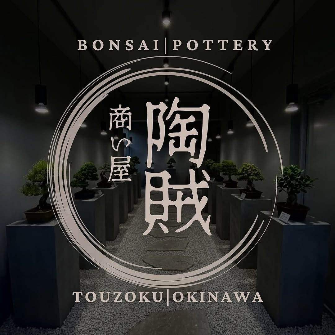 Post 4 by 琉球盆栽　陶賊 - TOUZOKU - on Instagram (image)