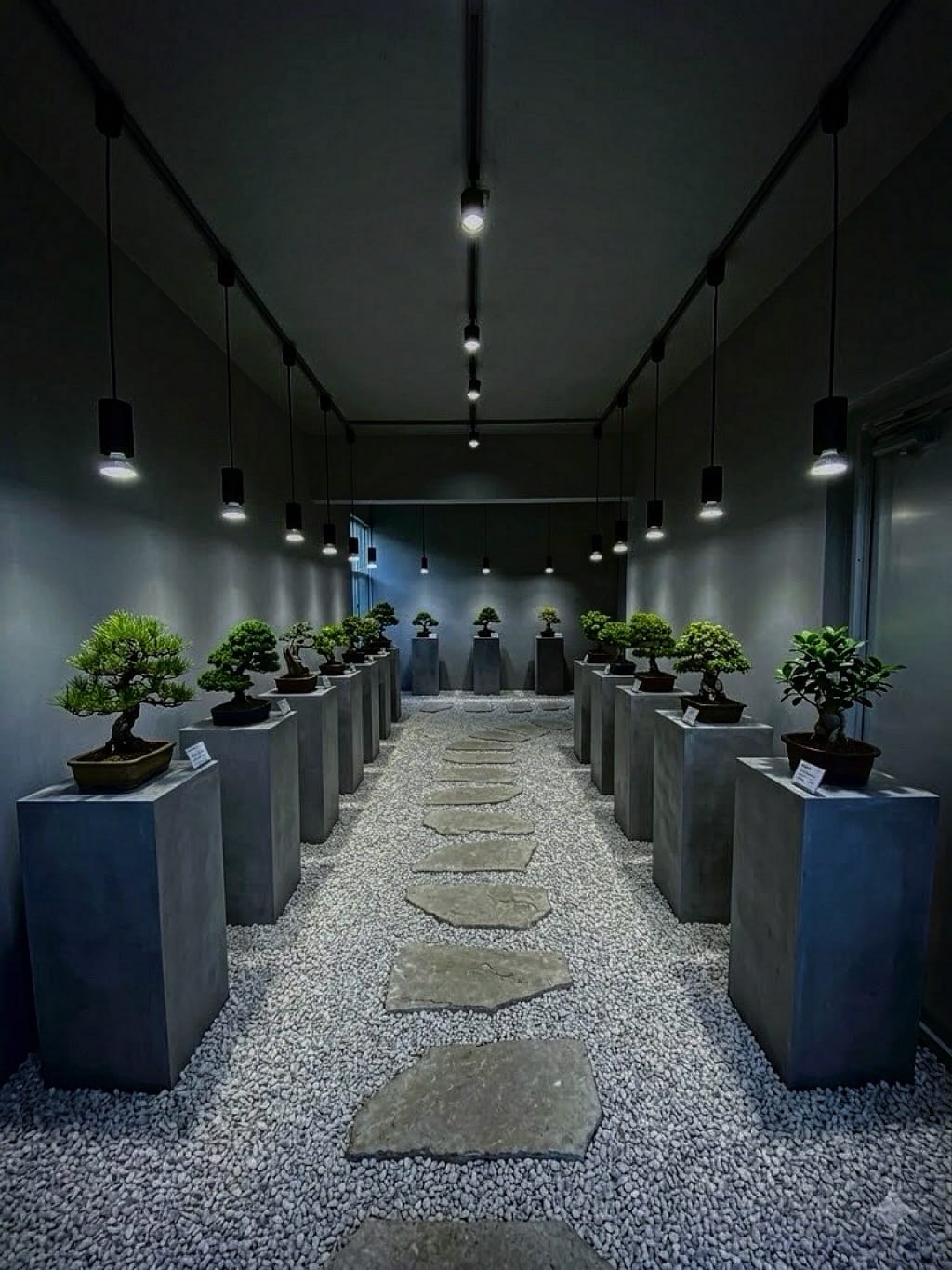 Post 5 by 琉球盆栽　陶賊 - TOUZOKU - on Instagram (image)