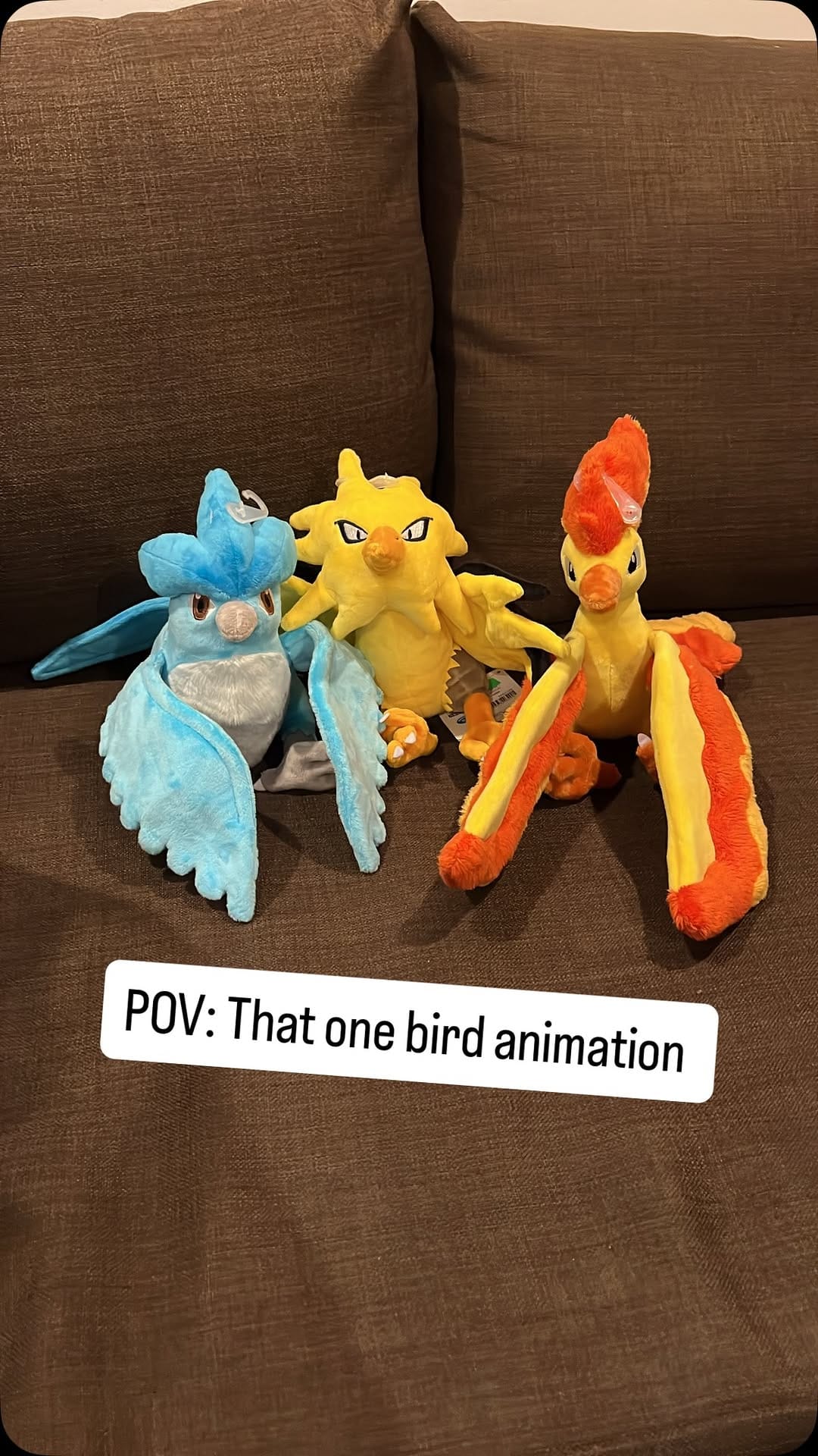 Post 9 by Pika Dude on Instagram (video)
