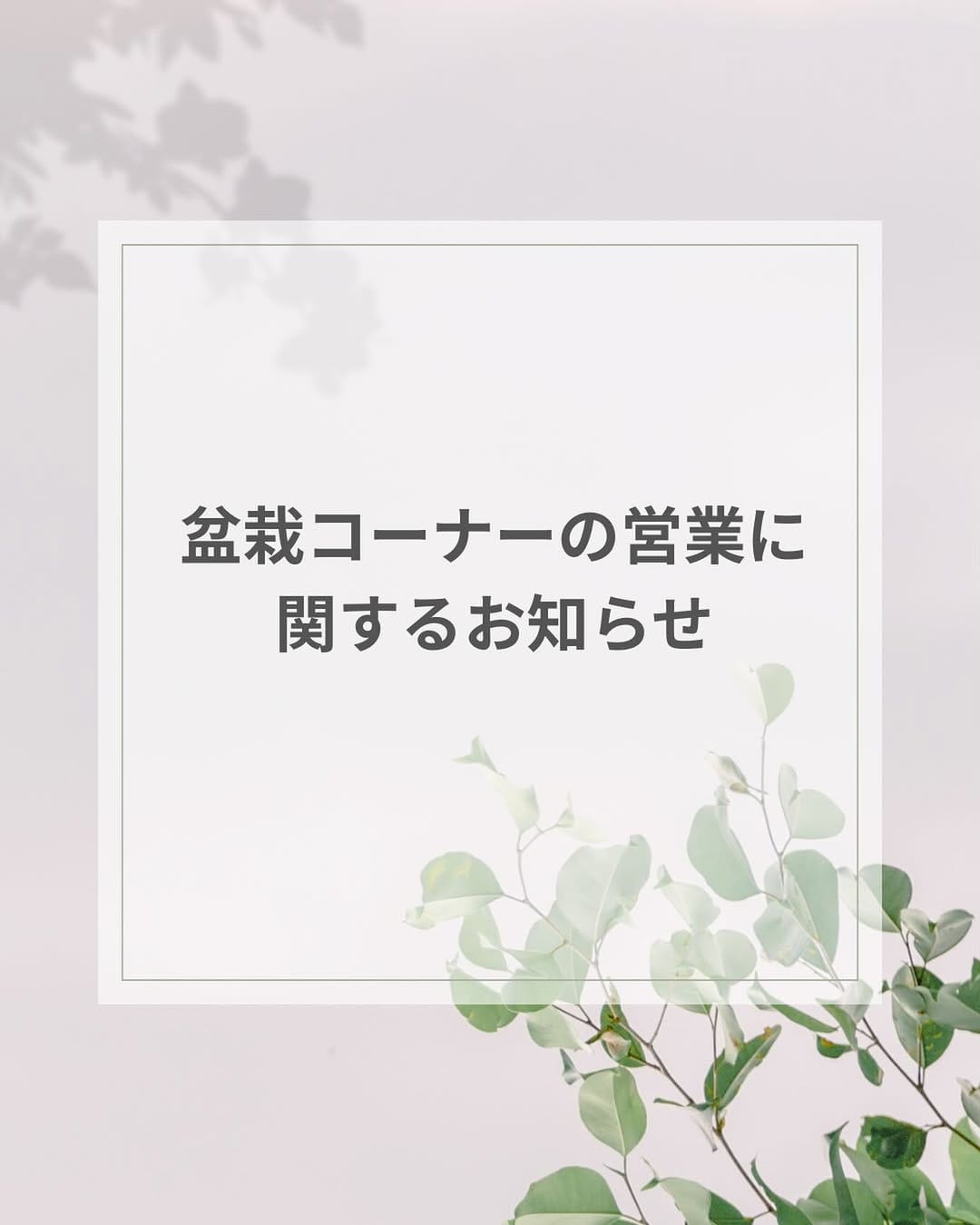 Post 7 by 所沢園芸 on Instagram (image)