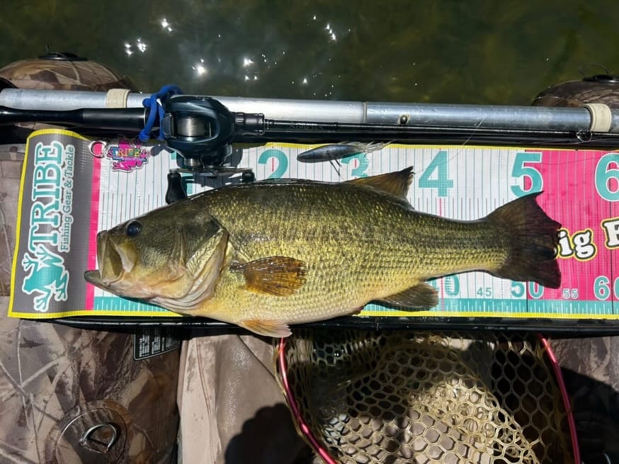 Post 4 by Fishing Gear & Tackle TRIBE on Instagram (carousel)