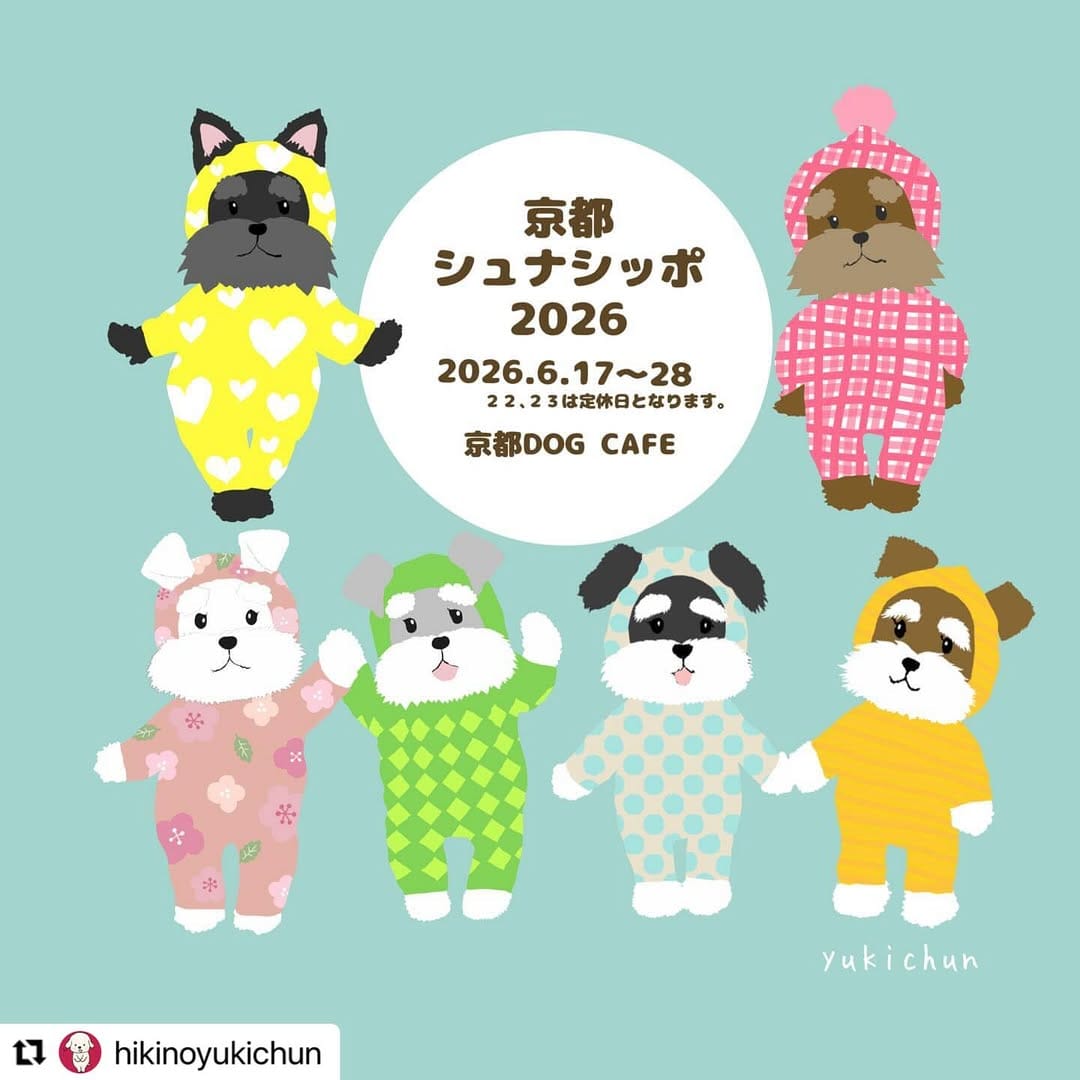 Post 6 by 京都文具屋 on Instagram (image)
