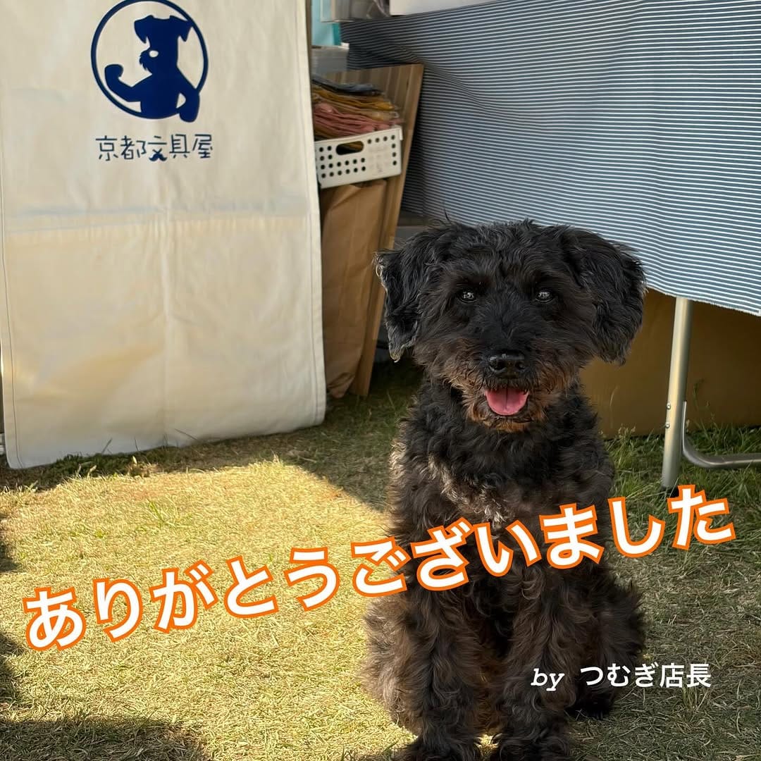 Post 10 by 京都文具屋 on Instagram (carousel)