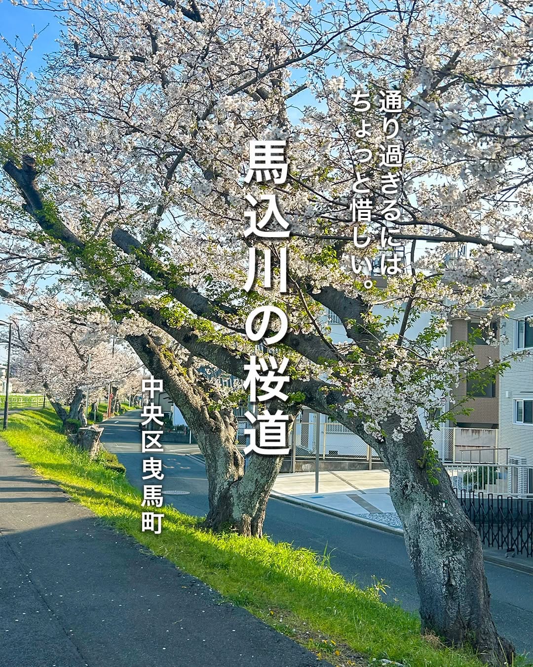 Post 3 by 浜松で遊ぶ・グルメ・イベント情報 -we love 浜松 on Instagram (carousel)