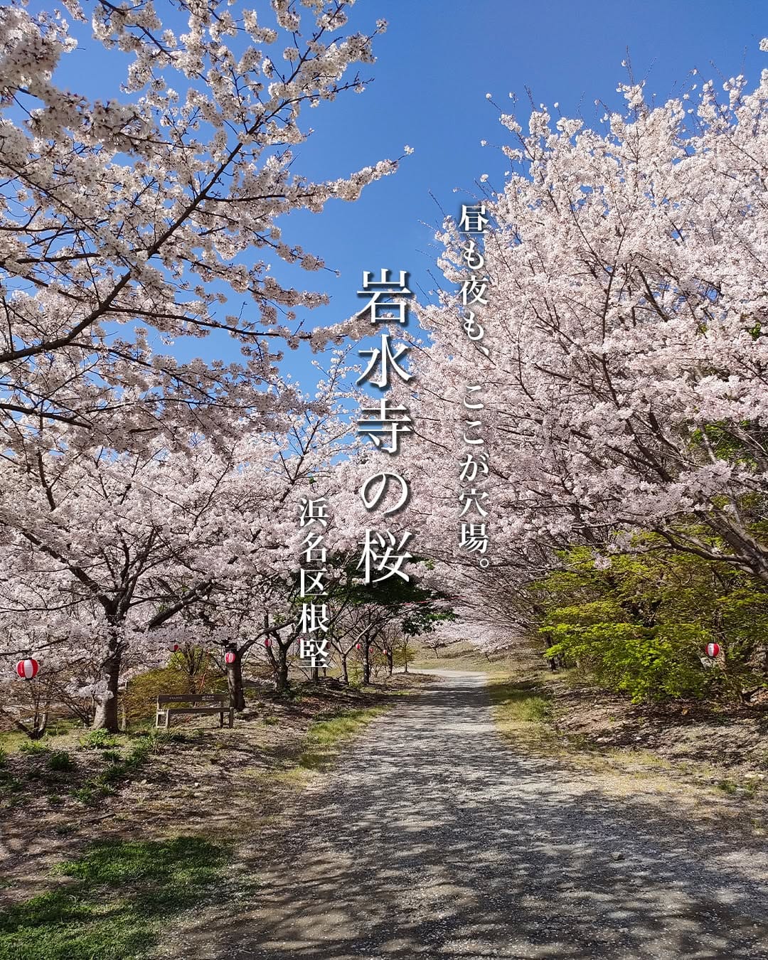 Post 8 by 浜松で遊ぶ・グルメ・イベント情報 -we love 浜松 on Instagram (carousel)