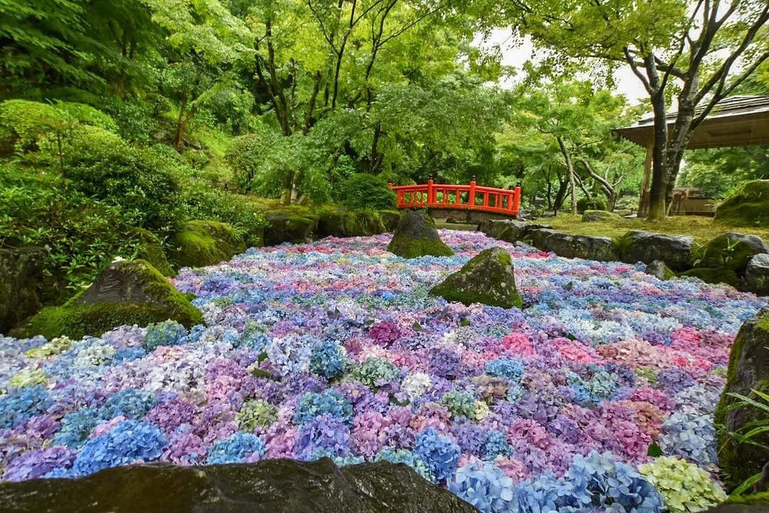 Post 1 by 祐徳稲荷神社【公式】 on Instagram (image)