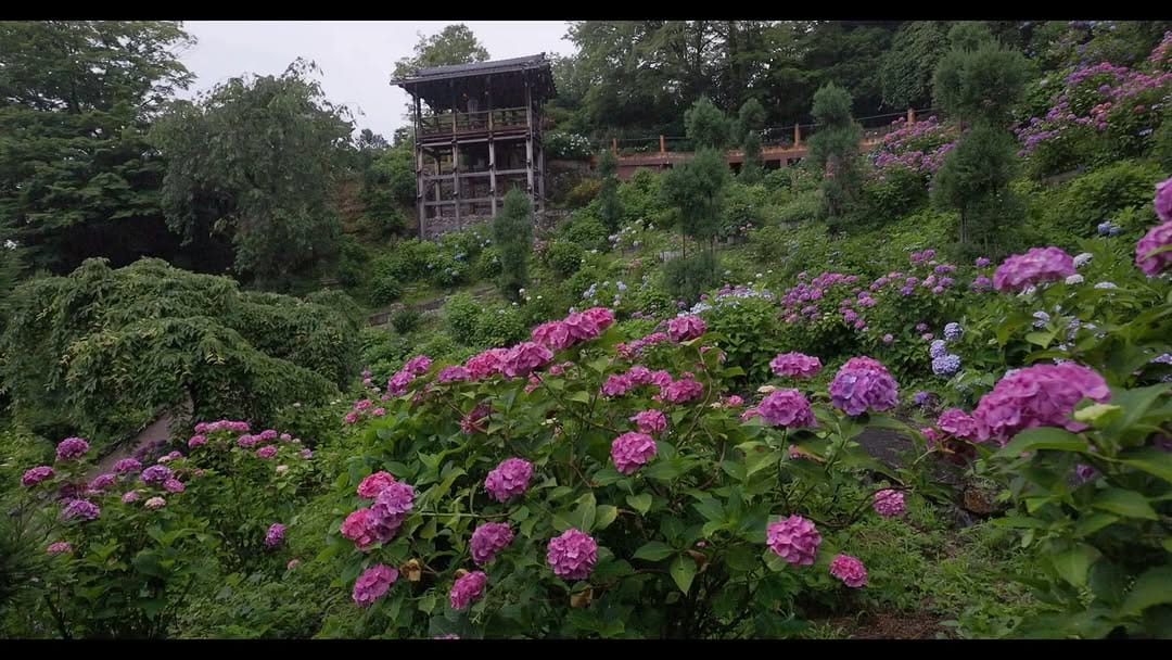 Post 1 by 京都 西山 善峯寺 / Yoshiminedera on Instagram (video)