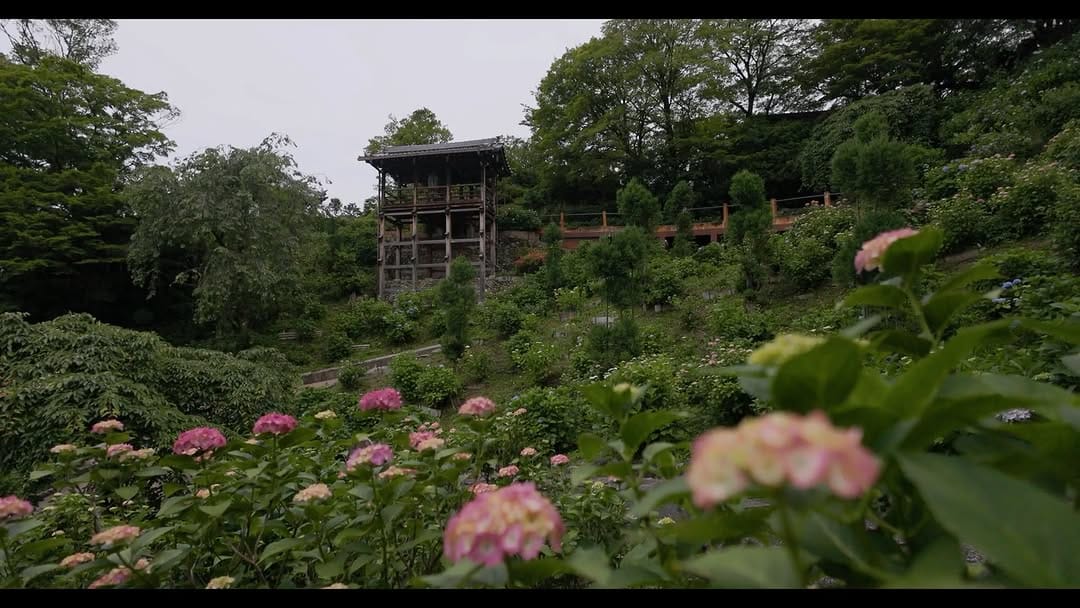 Post 10 by 京都 西山 善峯寺 / Yoshiminedera on Instagram (video)