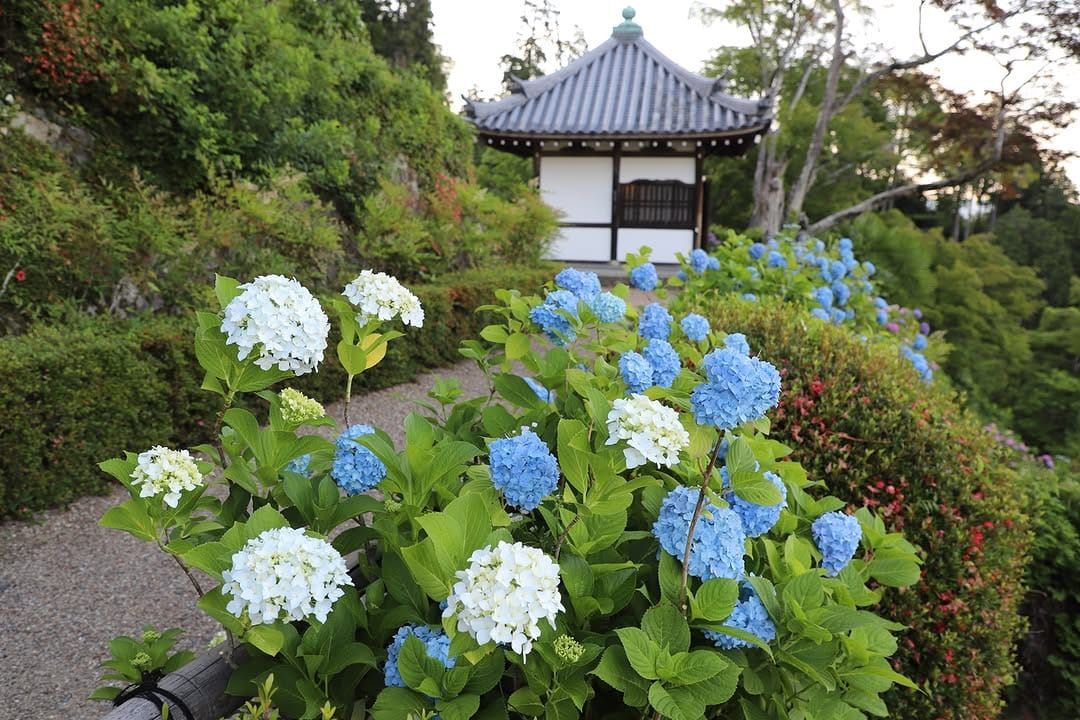 Post 9 by 京都 西山 善峯寺 / Yoshiminedera on Instagram (image)