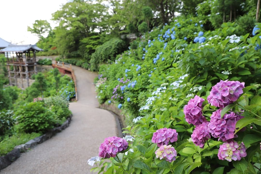 Post 3 by 京都 西山 善峯寺 / Yoshiminedera on Instagram (image)