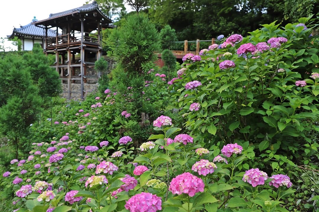 Post 6 by 京都 西山 善峯寺 / Yoshiminedera on Instagram (image)