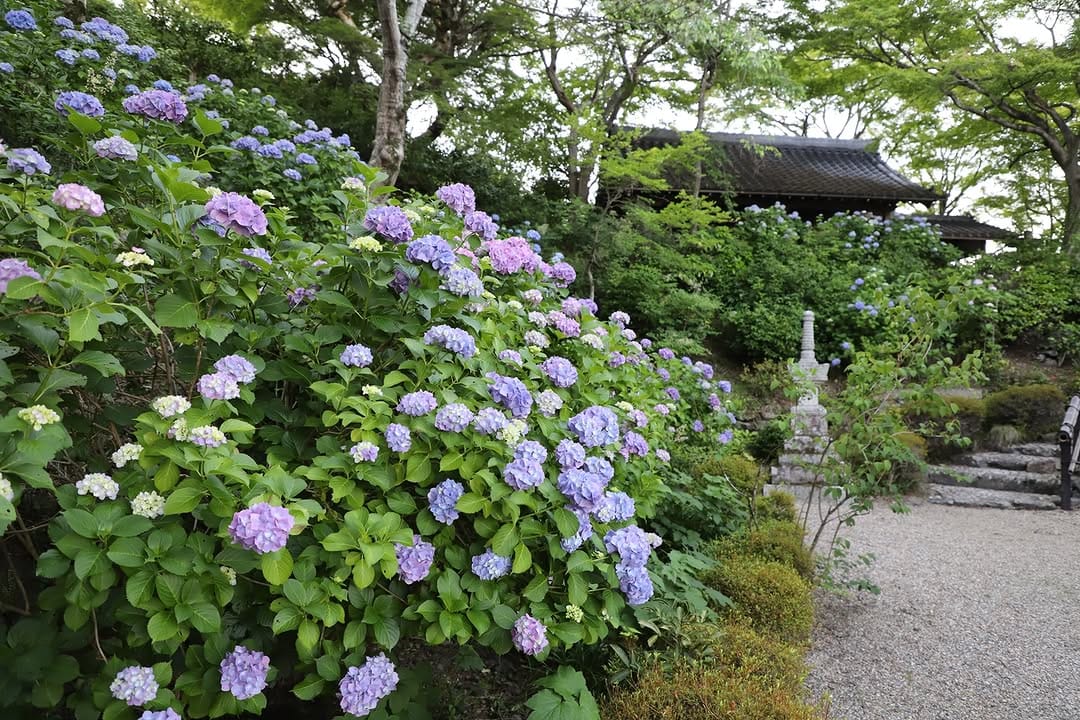 Post 8 by 京都 西山 善峯寺 / Yoshiminedera on Instagram (image)