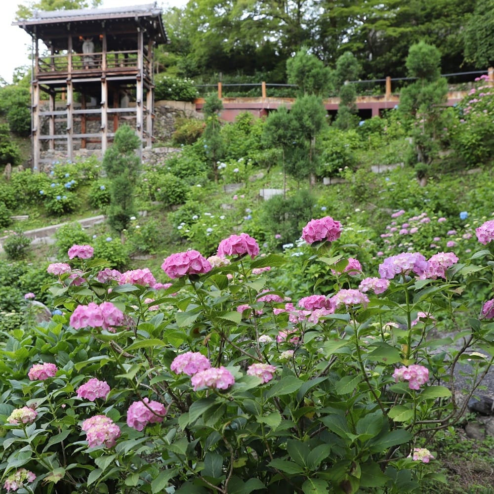 Post 7 by 京都 西山 善峯寺 / Yoshiminedera on Instagram (image)