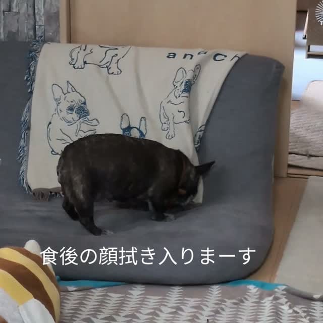 Post 6 by BPP💞ブーポテパシャママん♥️ on Instagram (video)
