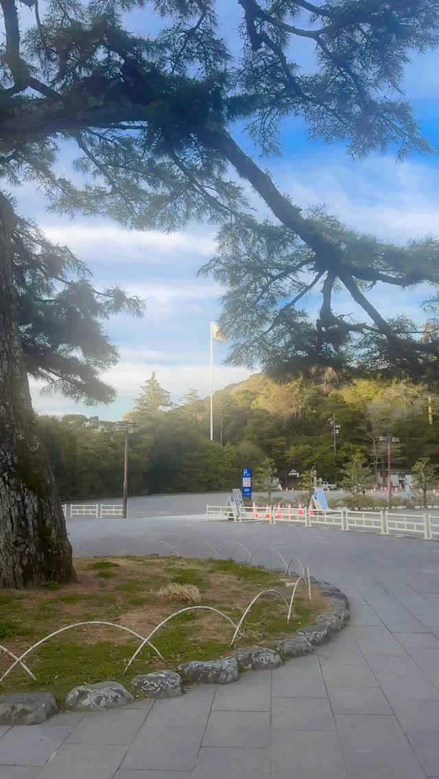 Post 6 by L'espelanza🏳️‍🌈レスコ on Instagram (video)