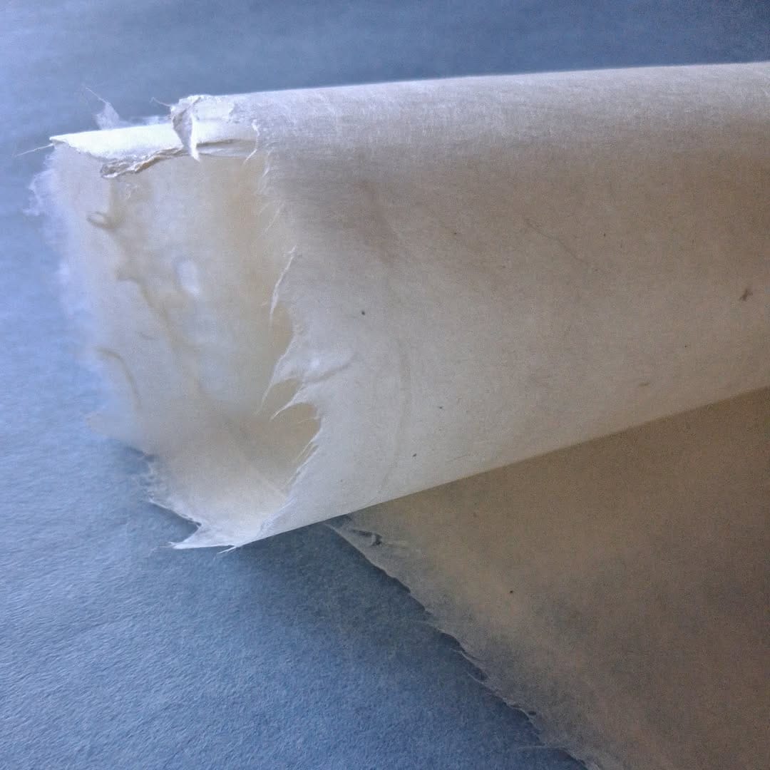 Post 3 by les papiers de Lucas on Instagram (image)