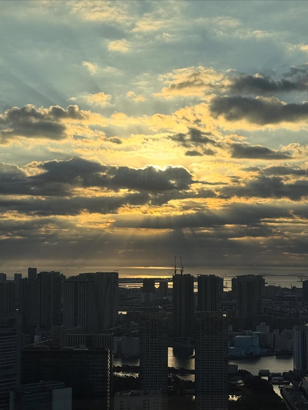 Post 5 by Nayu Matsubara | Actress in LA on Instagram (image)
