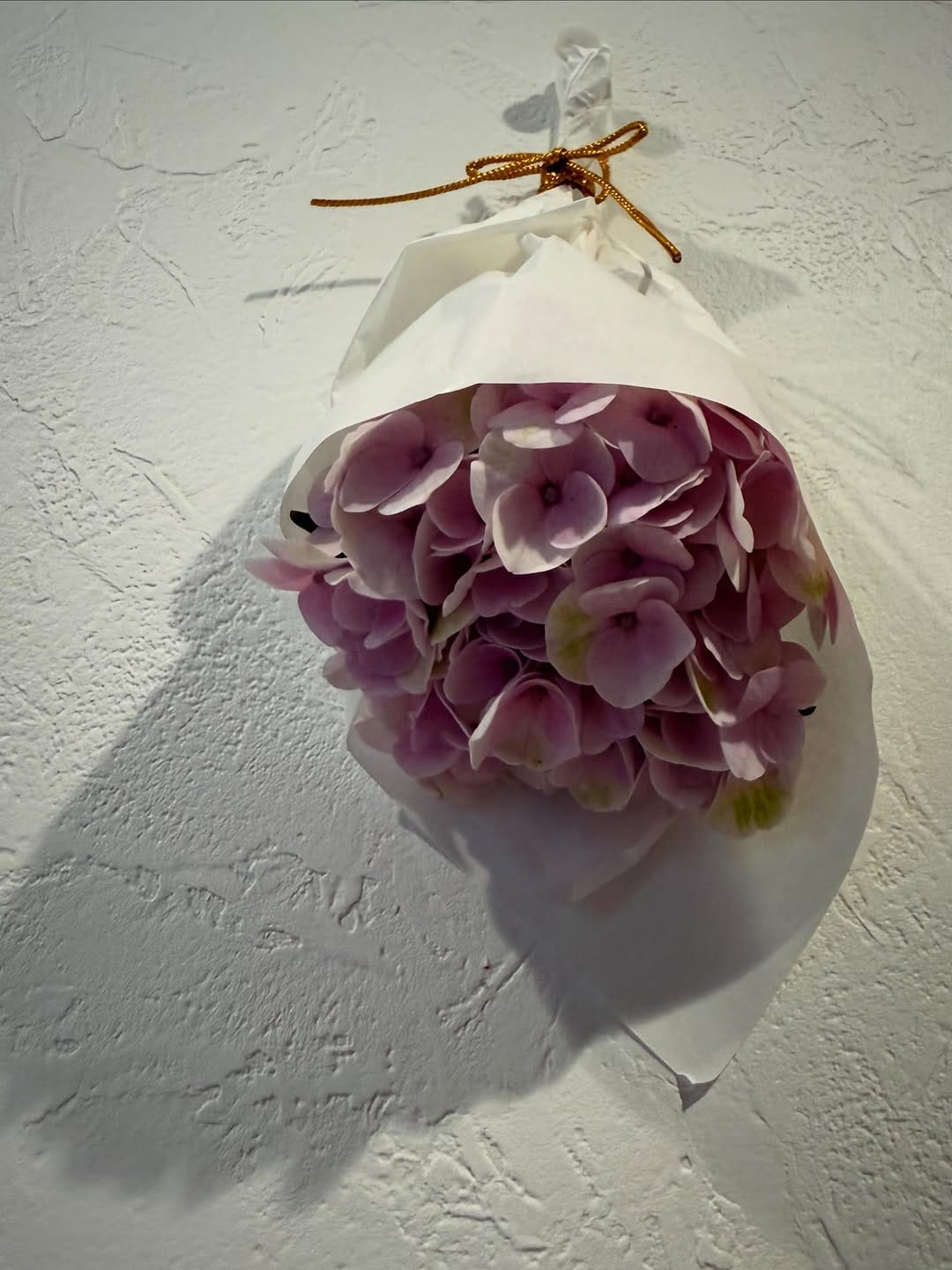Post 3 by Emi Masamoto 政本絵美 on Instagram (image)