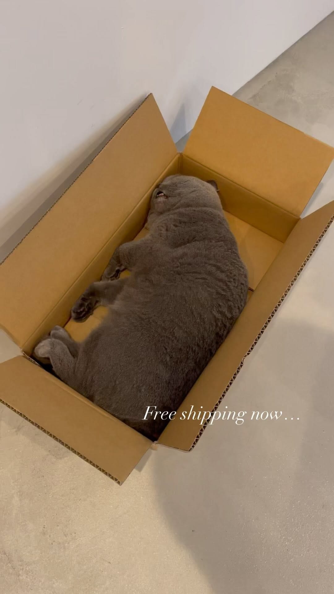Post 9 by ⓉⒽⒺⓈ on Instagram (video)