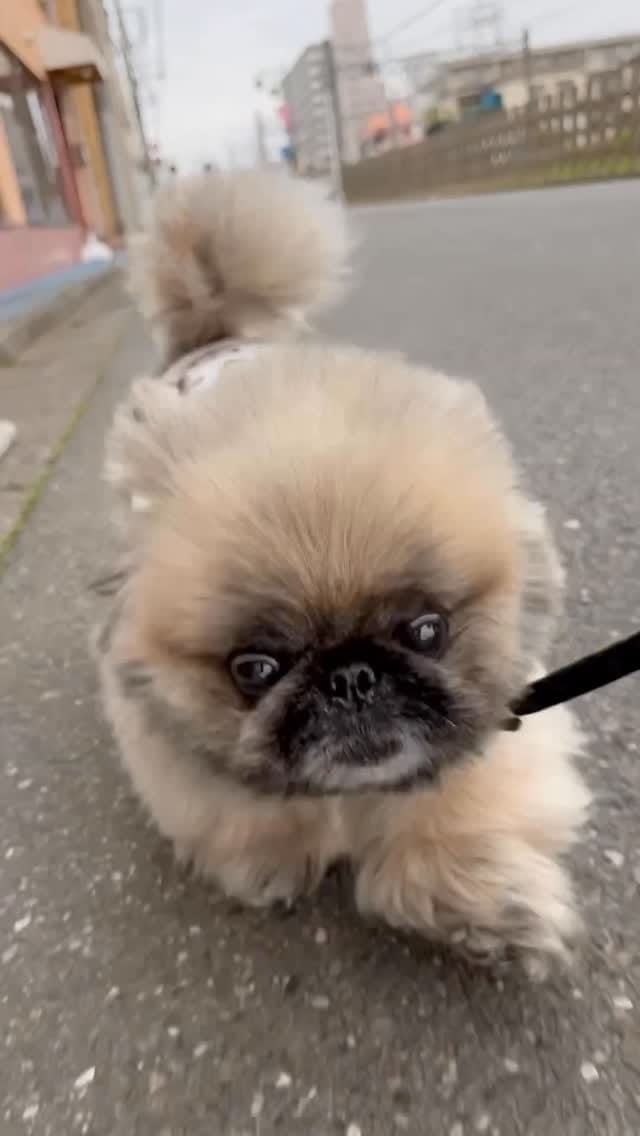 Post 7 by いぶそらかな on Instagram (video)