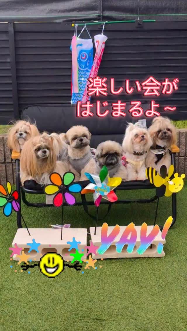 Post 2 by いぶそらかな on Instagram (video)
