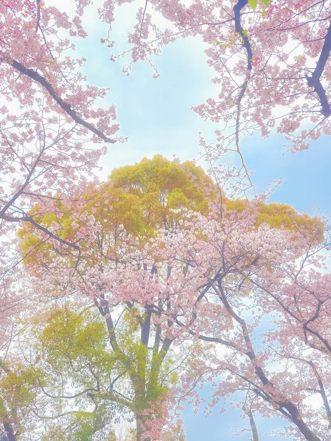 Post 2 by 𝔢𝔩𝔷𝔞 on Instagram (image)