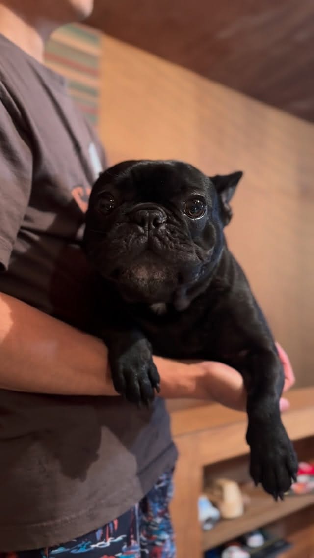 Post 4 by おにぎりとどんぐり🍙🌰おにどん on Instagram (video)