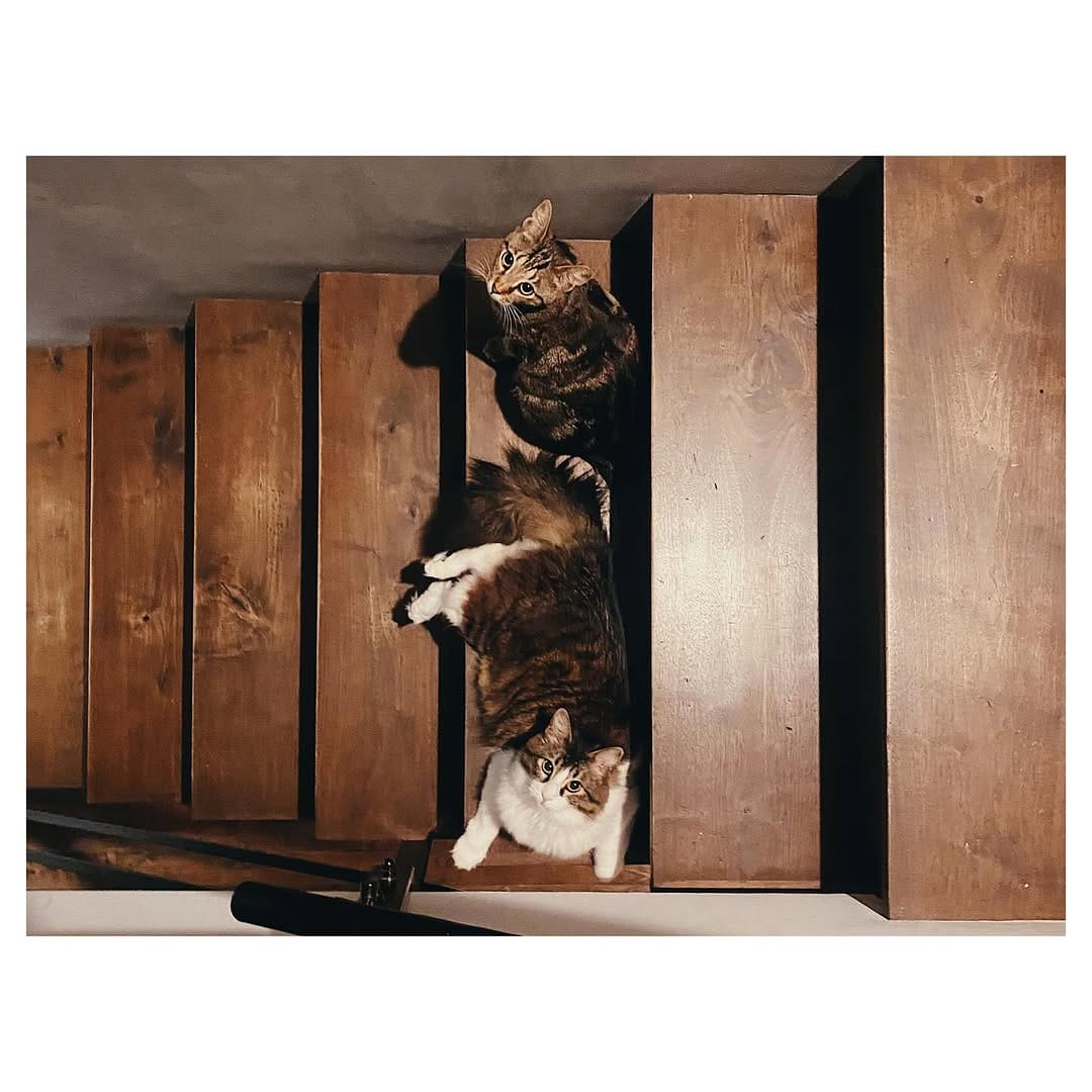 Post 5 by Haruka Abe (安部春香) on Instagram (carousel)