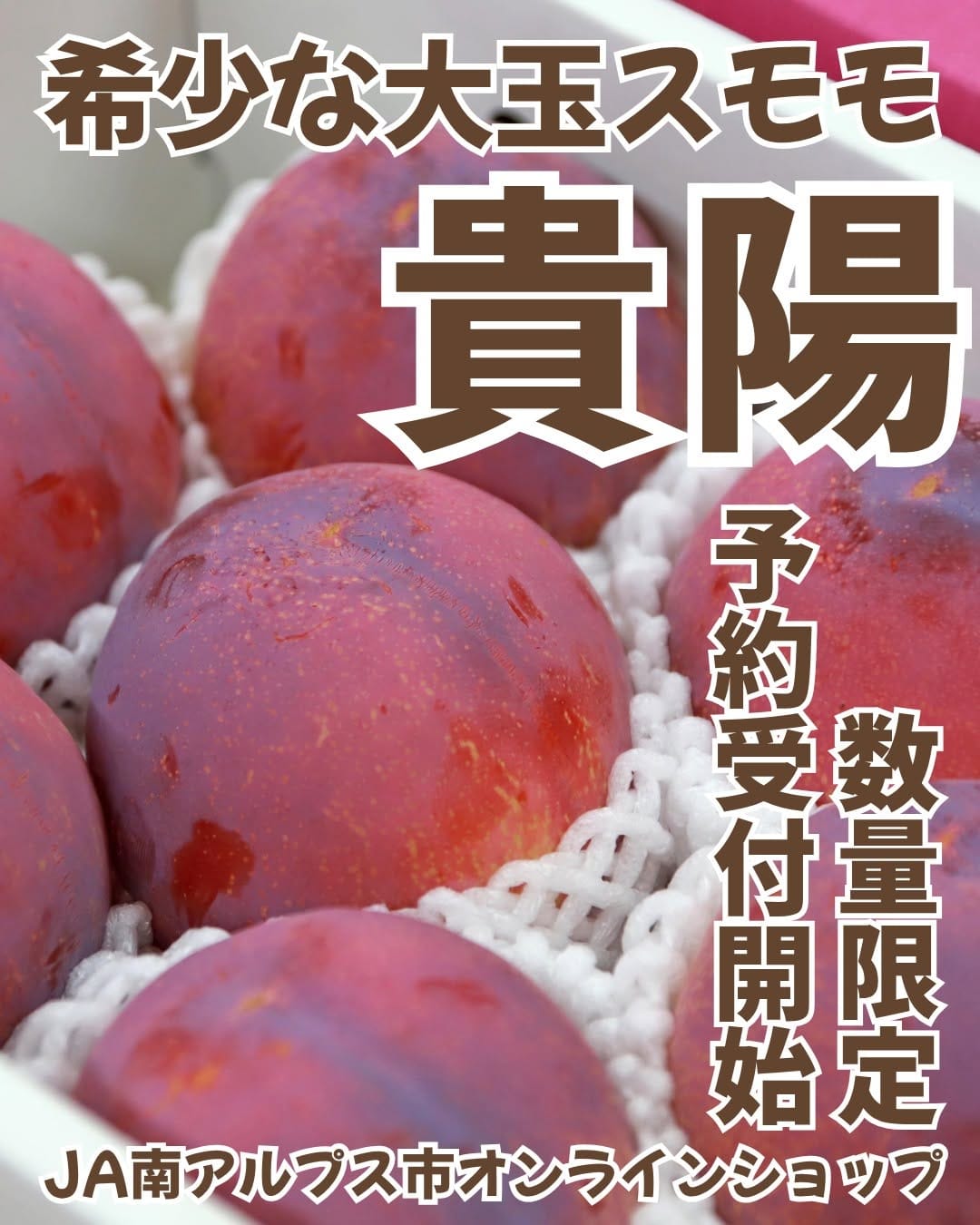 Post 2 by 道の駅しらね農産物直売所🍑JA南アルプス市運営🍇 on Instagram (image)